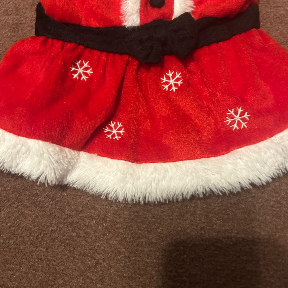 Red Santa Dog Dress with White Trim - Picture 3 of 15